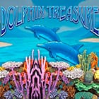 Dolphin Treasure